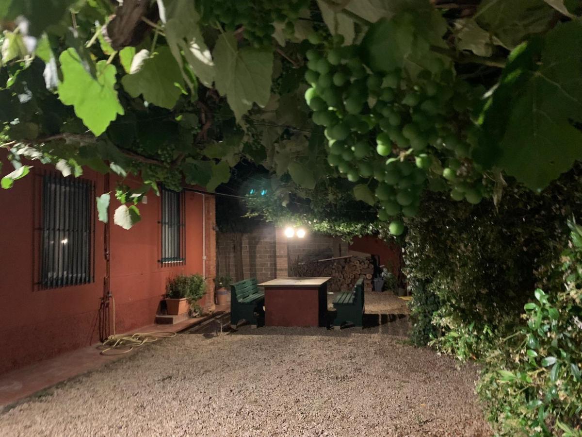 فيلا Casale Degli Ulivi Maccarese Le Cerquete المظهر الخارجي الصورة